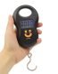 MEGA Portable Hanging Scale 50kg LOW PRICE HANG SCALE BD