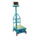 Industrial Digital Weight Scale (TC-08)-Mega 1000kg