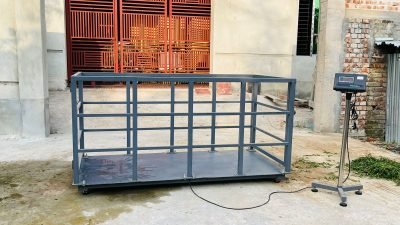 Cow Scale Ready Stock